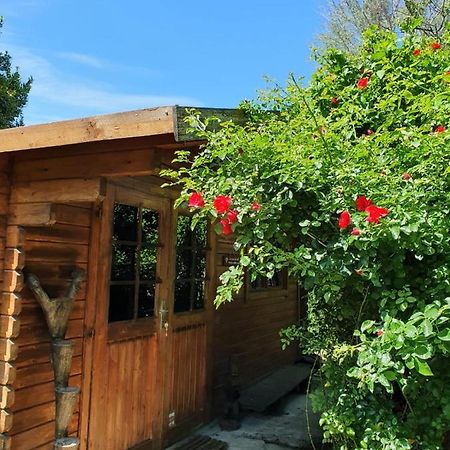 La Cabane Du Pesquier En Provence Caumont-sur-Durance Kültér fotó