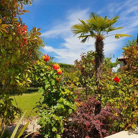La Cabane Du Pesquier En Provence Caumont-sur-Durance Kültér fotó